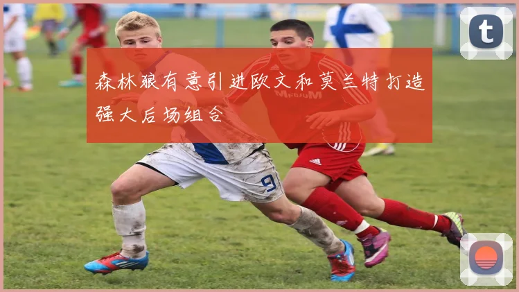 森林狼有意引进欧文和莫兰特打造强大后场组合